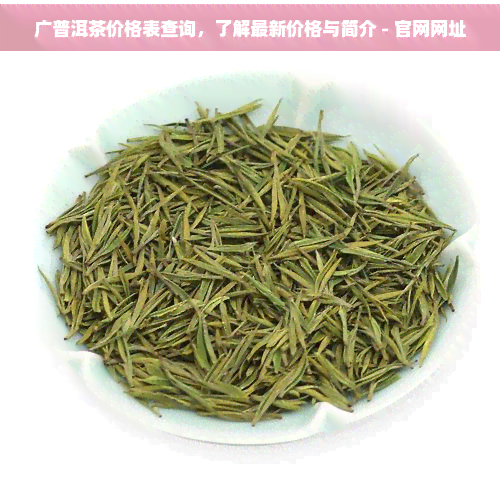 廣金福普洱茶信息咨詢服務 品茗之旅的專業向導